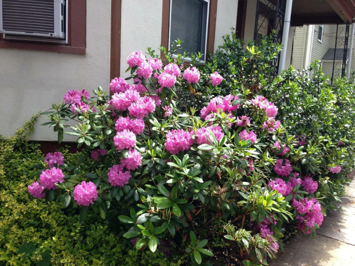 Bowers House Bnb Harvard Mit Cambridge Boston Somerville Dış mekan fotoğraf